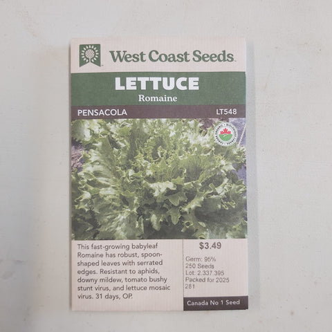 Romaine Lettuce 'Pensacola' Seeds - West Coast Seeds