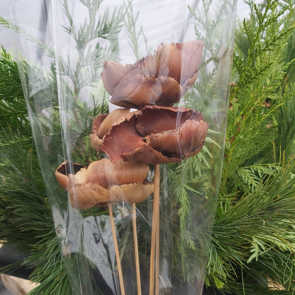 Palm Cap Natural picks - 4 pack