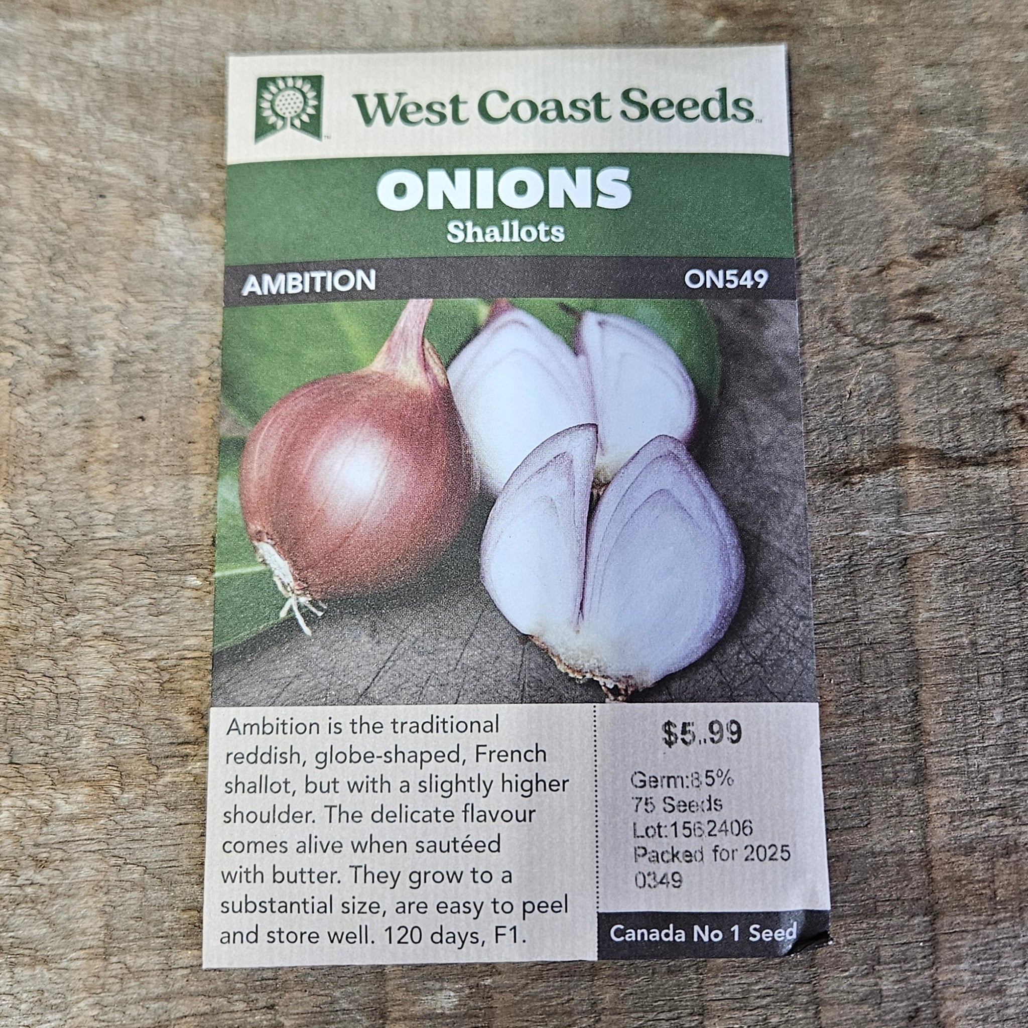 Onions 'Ambition'- West Coast Seeds