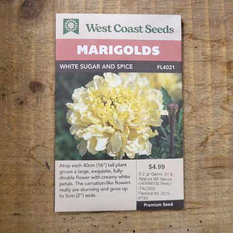 Marigolds 'White Sugar and Spice' - West Coast Seeds