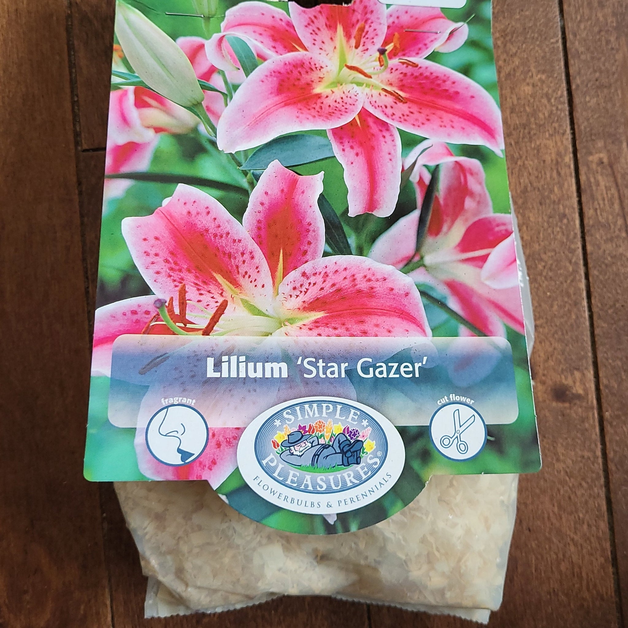Lilium Bulbs 'Stargazer'