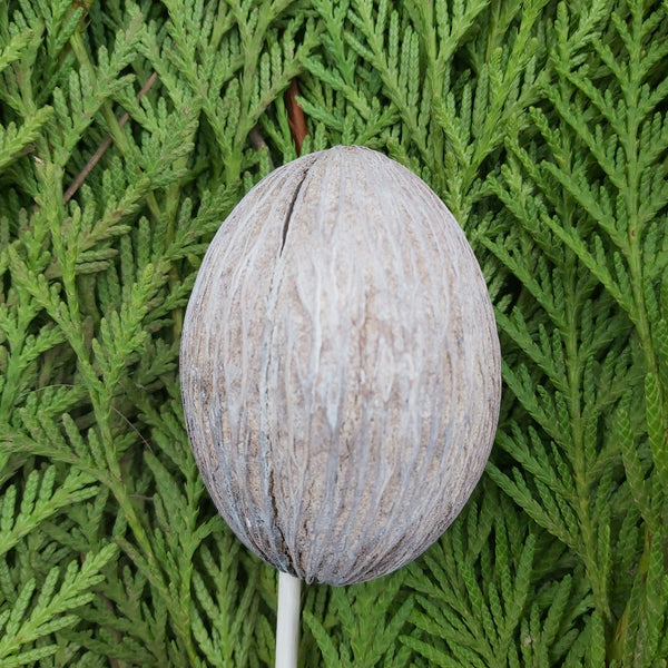 Mintolla Balls white wash - single pick