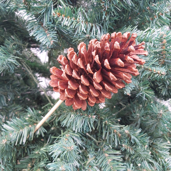 Large pinecone pick