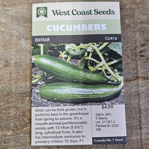 Cucumber 'Ishtar'- West Coast Seeds
