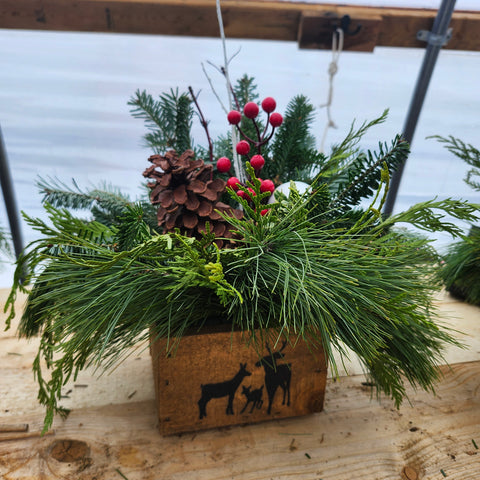 6" Square Winter Planter