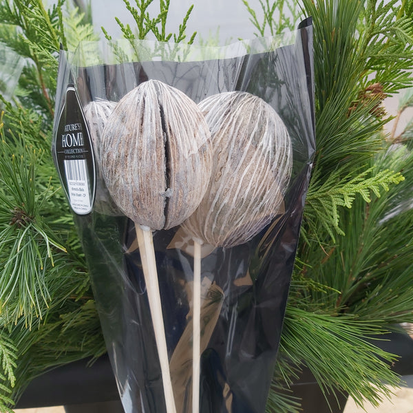 Mintolla Balls white wash picks - 3 pack