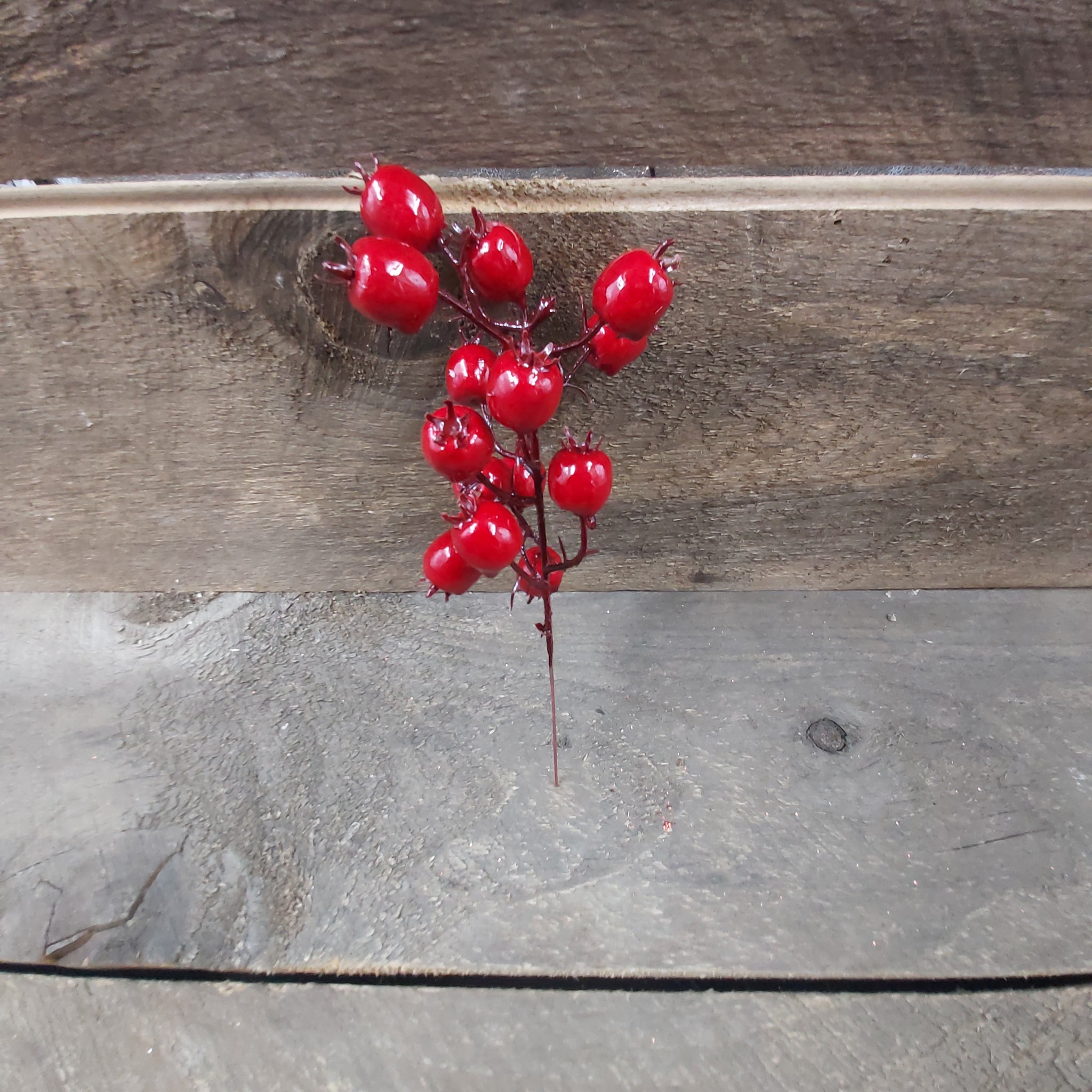 8" Pick 'Outdoor Red Cranberry'