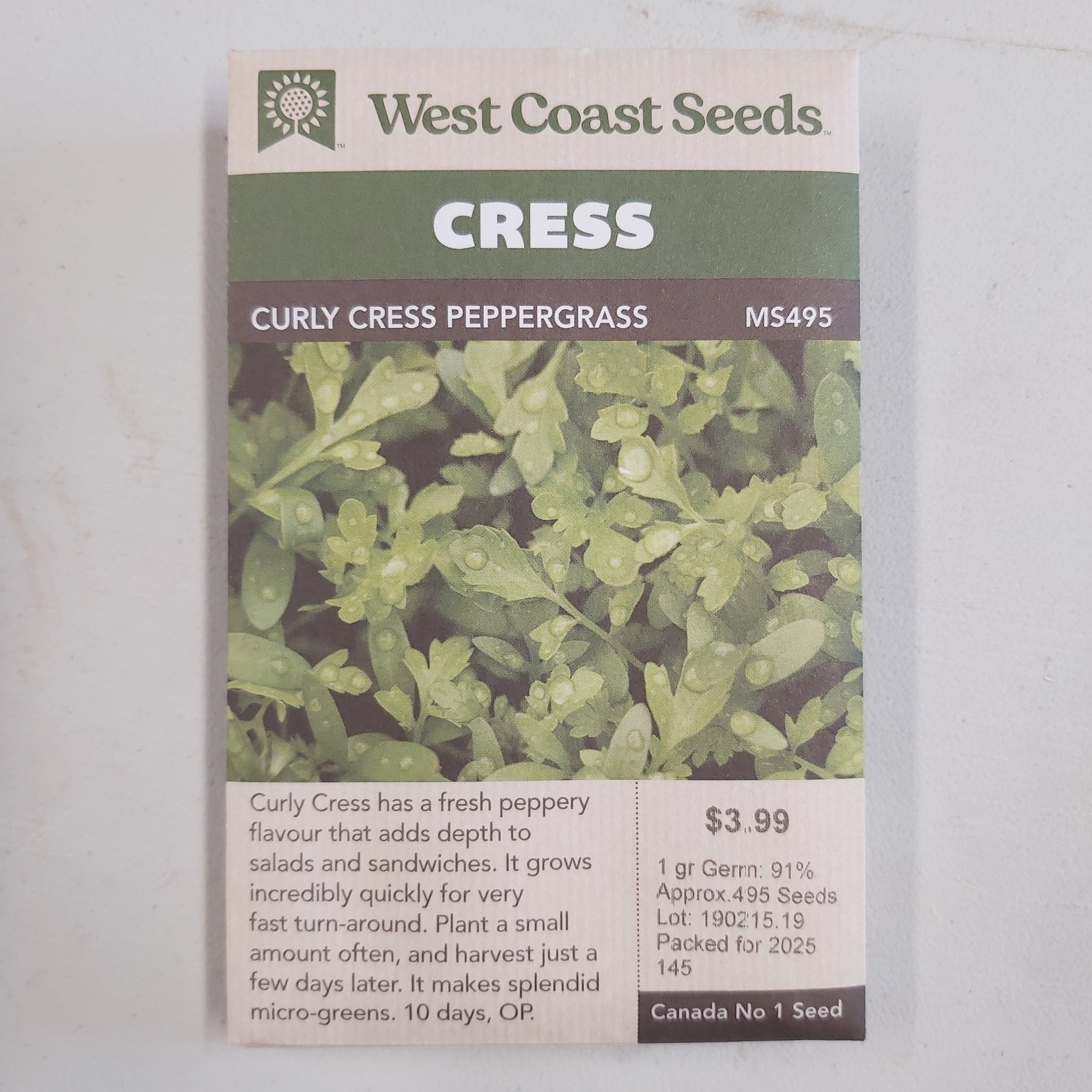 Cress 'Curly Cress Peppergrass' Seeds - West Coast Seeds