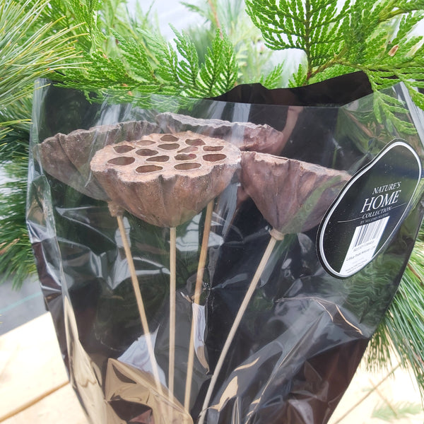 Lotus pods picks - 4 pack