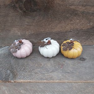 3 Asst. Pumpkins with Display