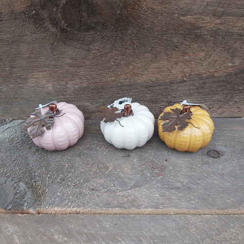 3 Asst. Pumpkins with Display