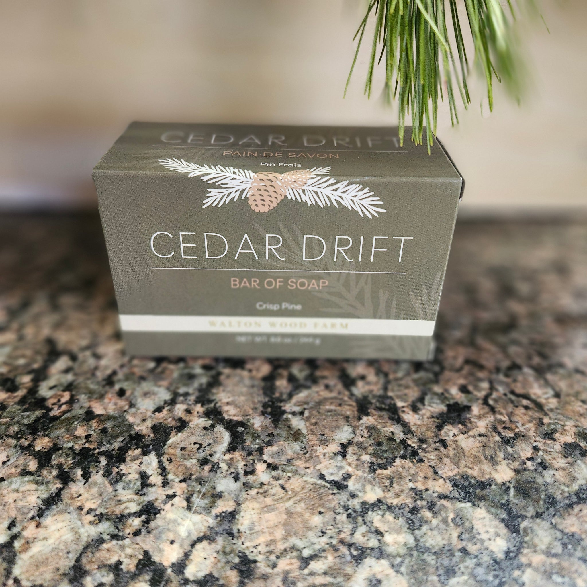 Cedar Drift Soap Bar