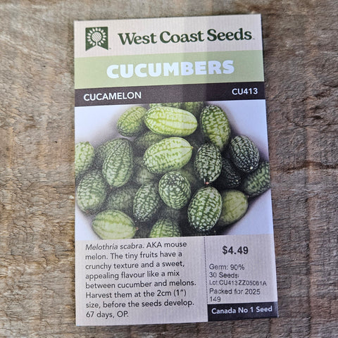 Cucumber 'Cucamelon' Seeds - West Coast Seeds