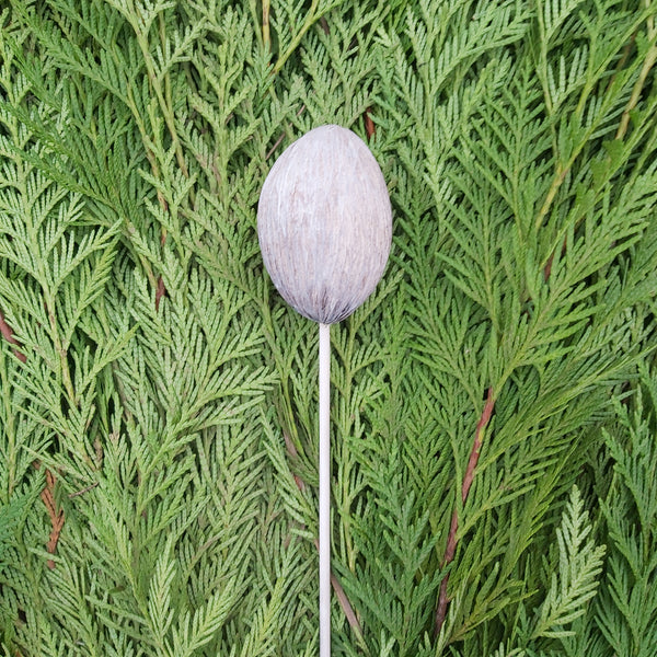 Mintolla Balls white wash - single pick