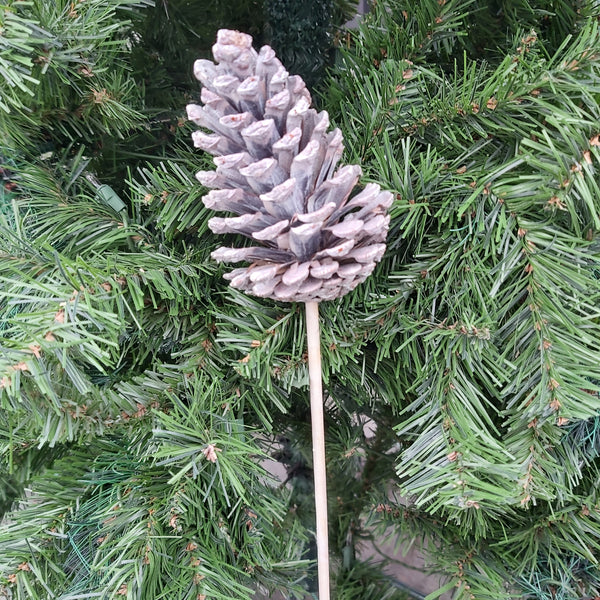 Large pinecone pick - white wash