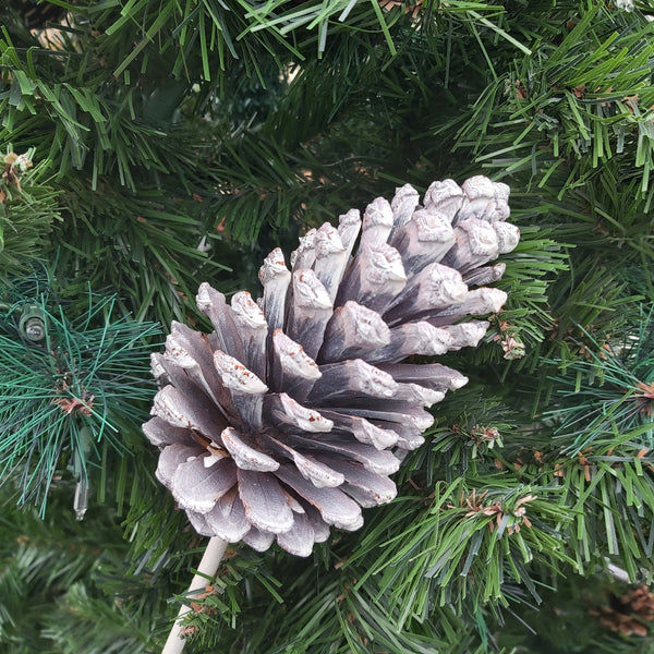 Large pinecone pick - white wash