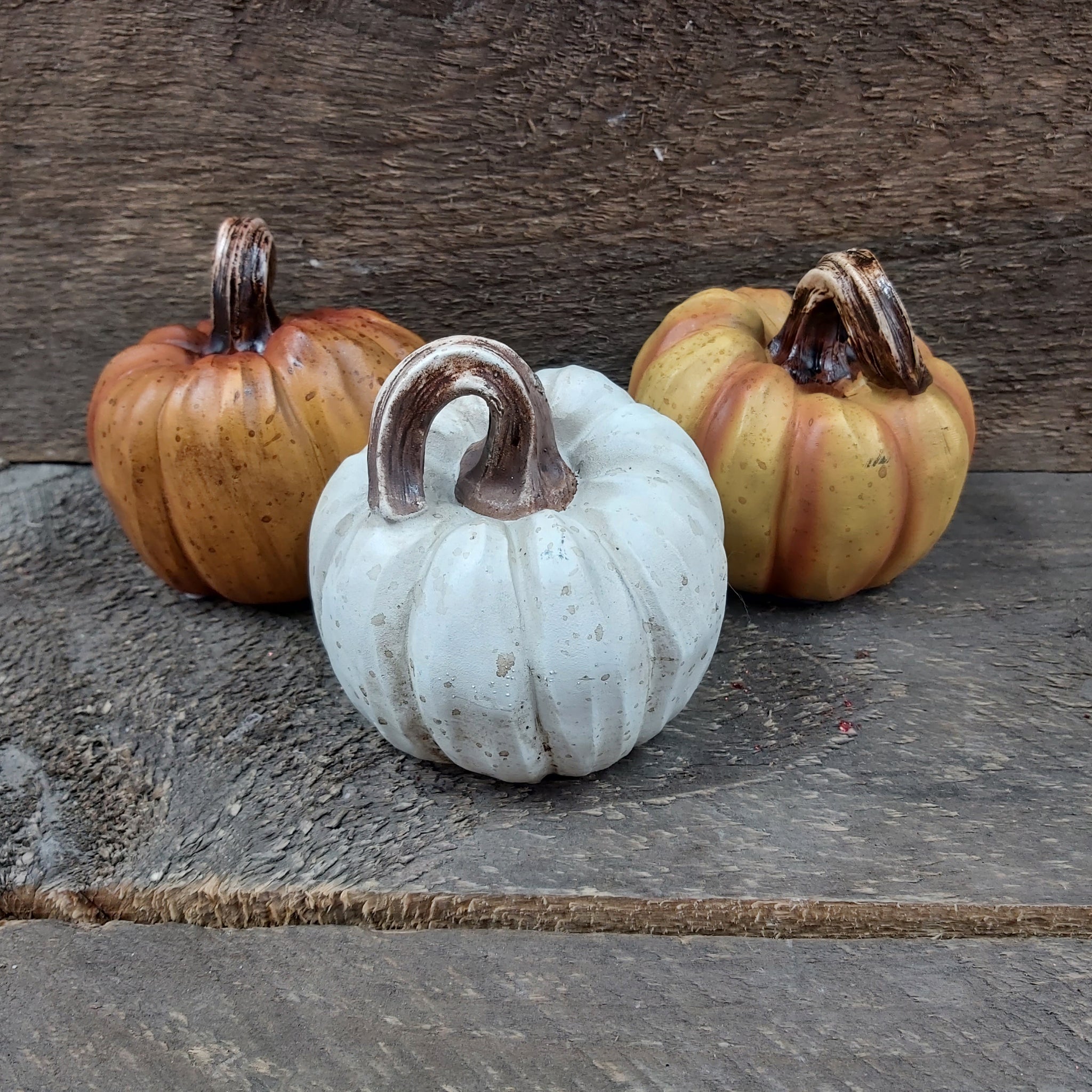 3.5" Pumpkin 'Resin Harvest 3 Assorted'