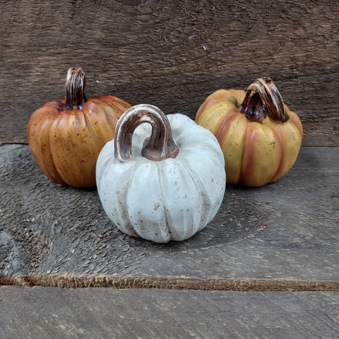 3.5" Pumpkin 'Resin Harvest 3 Assorted'