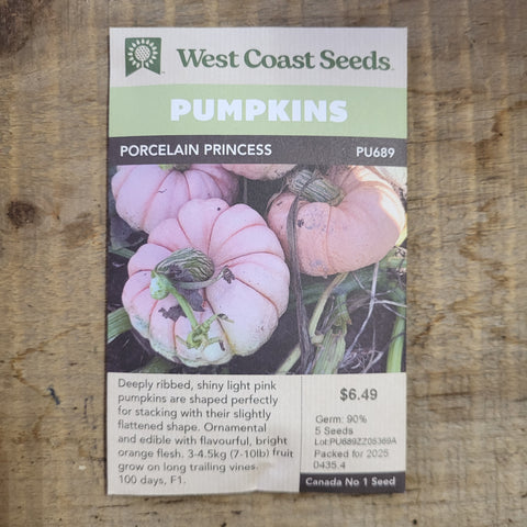 Pumpkins 'Porcelain Princess' - West Coast Seeds