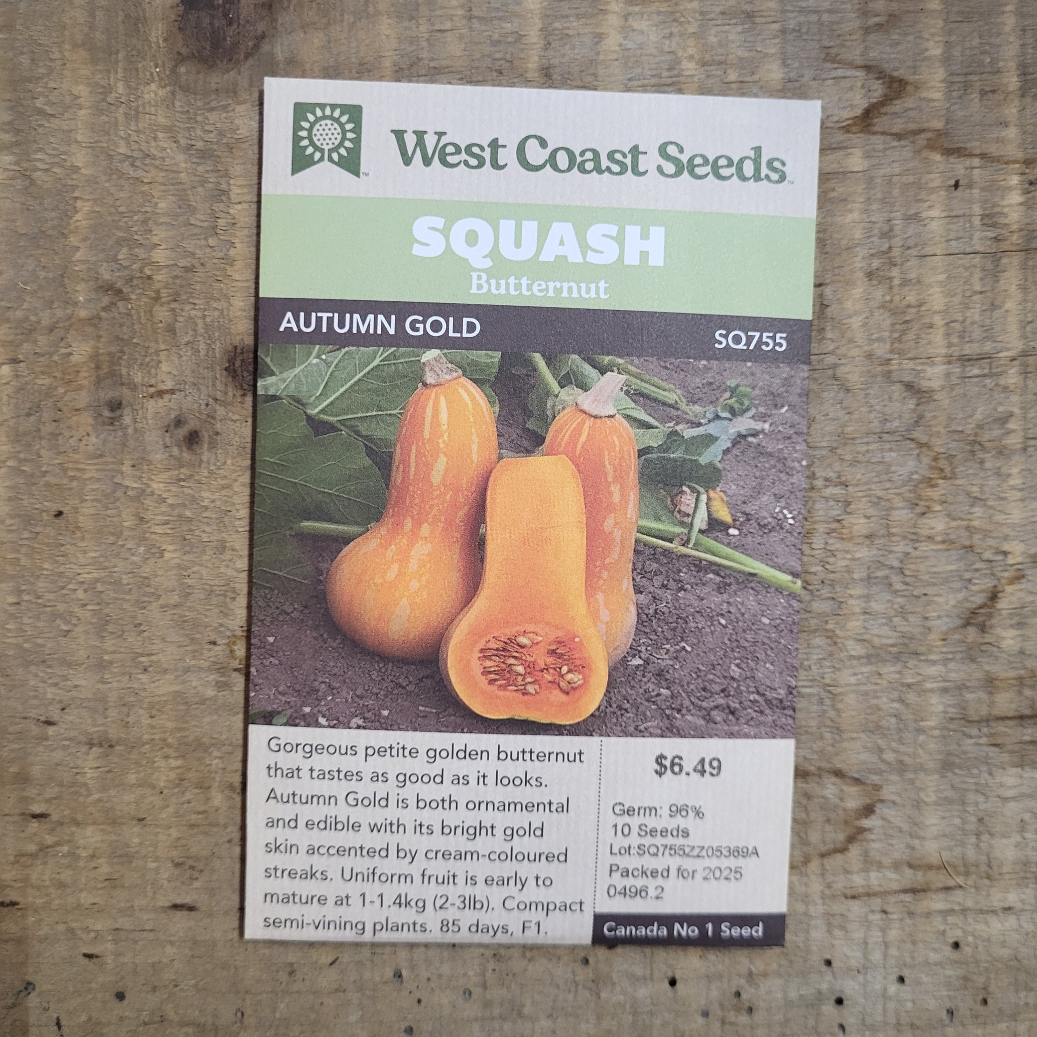 Squash Butternut 'Autumn Gold' - West Coast Seeds