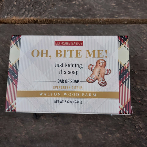 Soap Bar 'Gingerbread'