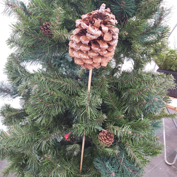 Jumbo pinecone pick - snow