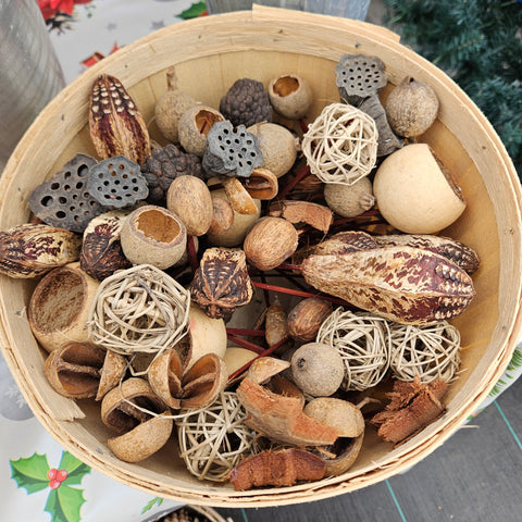 Natural Seed Pod Pick