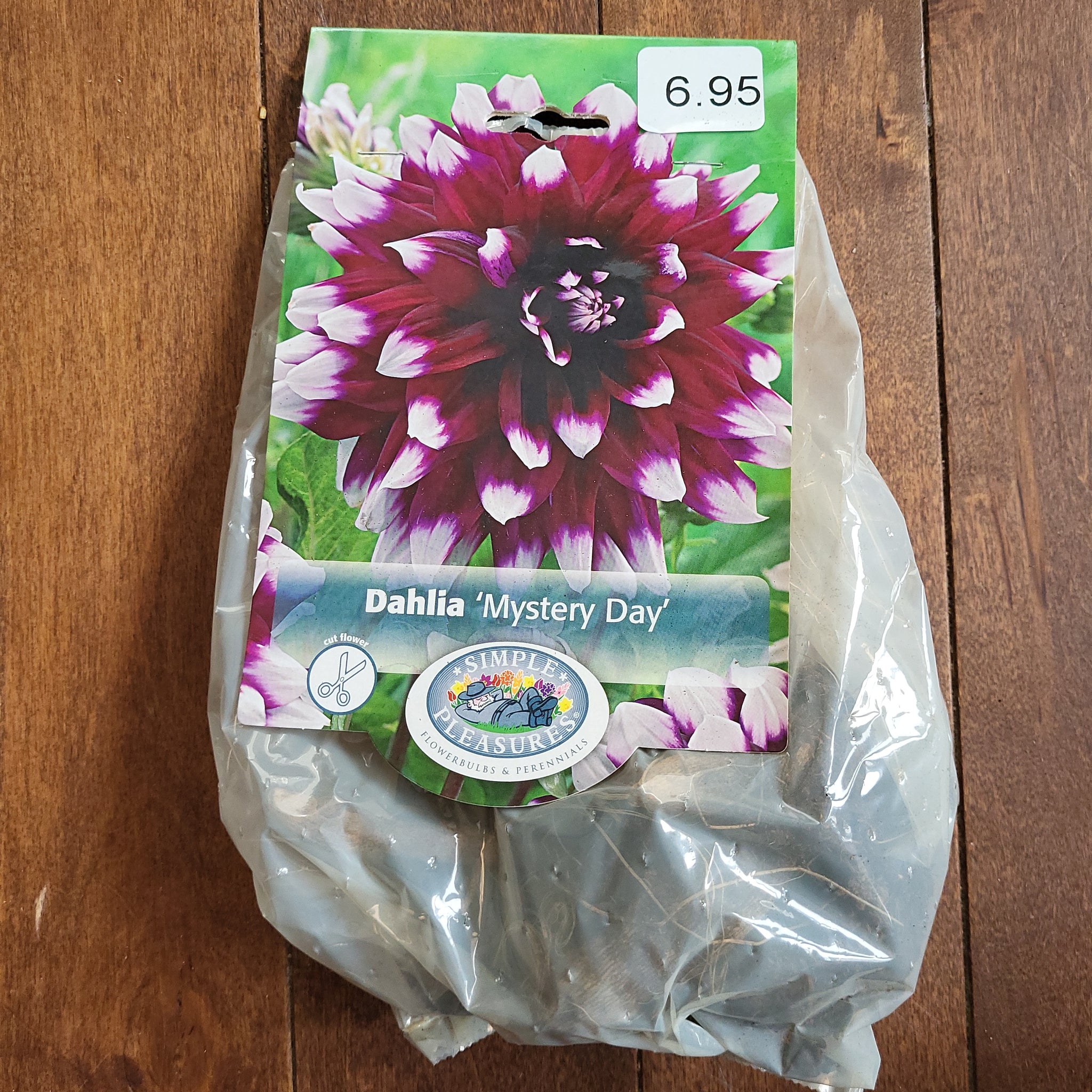 Dahlia Bulb 'Mystery Day'
