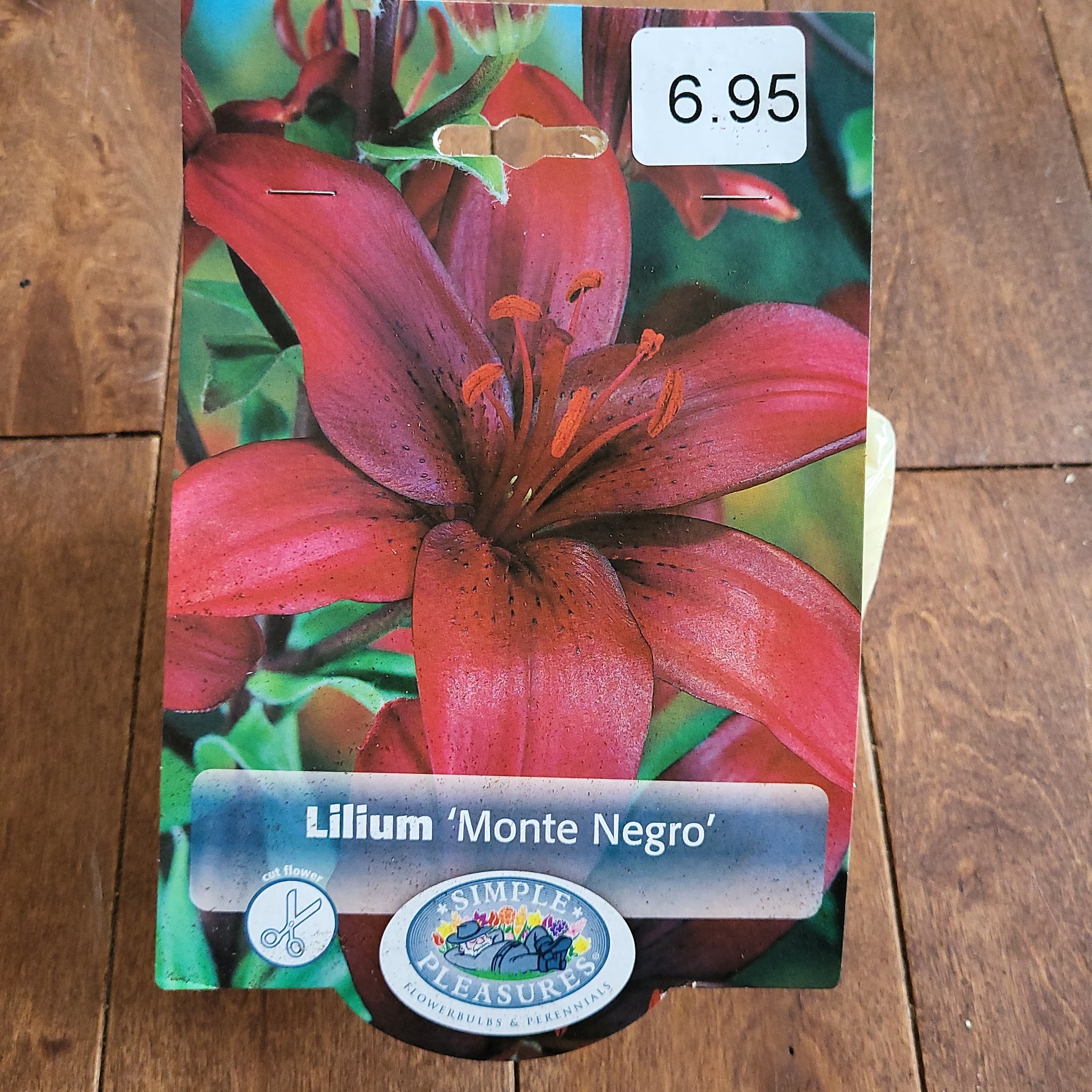 Lilium Bulbs 'Monte Negro'
