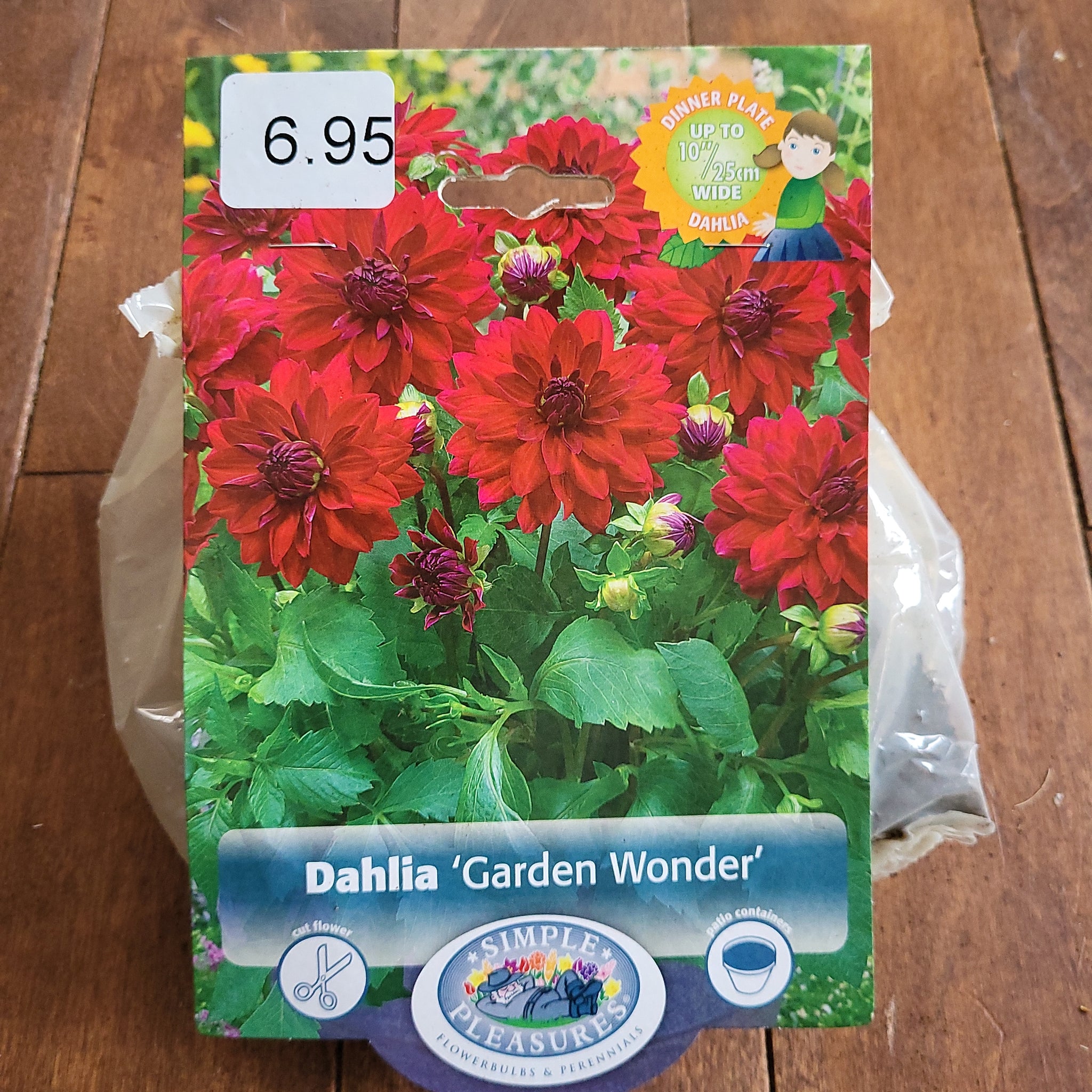 Dahlia Bulb 'Garden Wonder' Carp Garden Centre West Ottawa