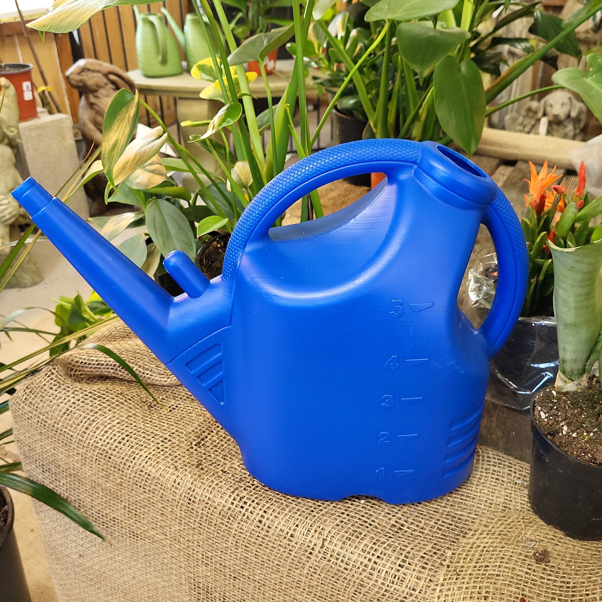 Watering Can 1.25Gal  - Blue