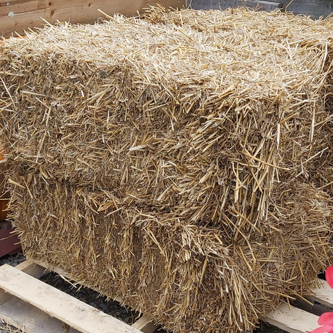 Straw Bale