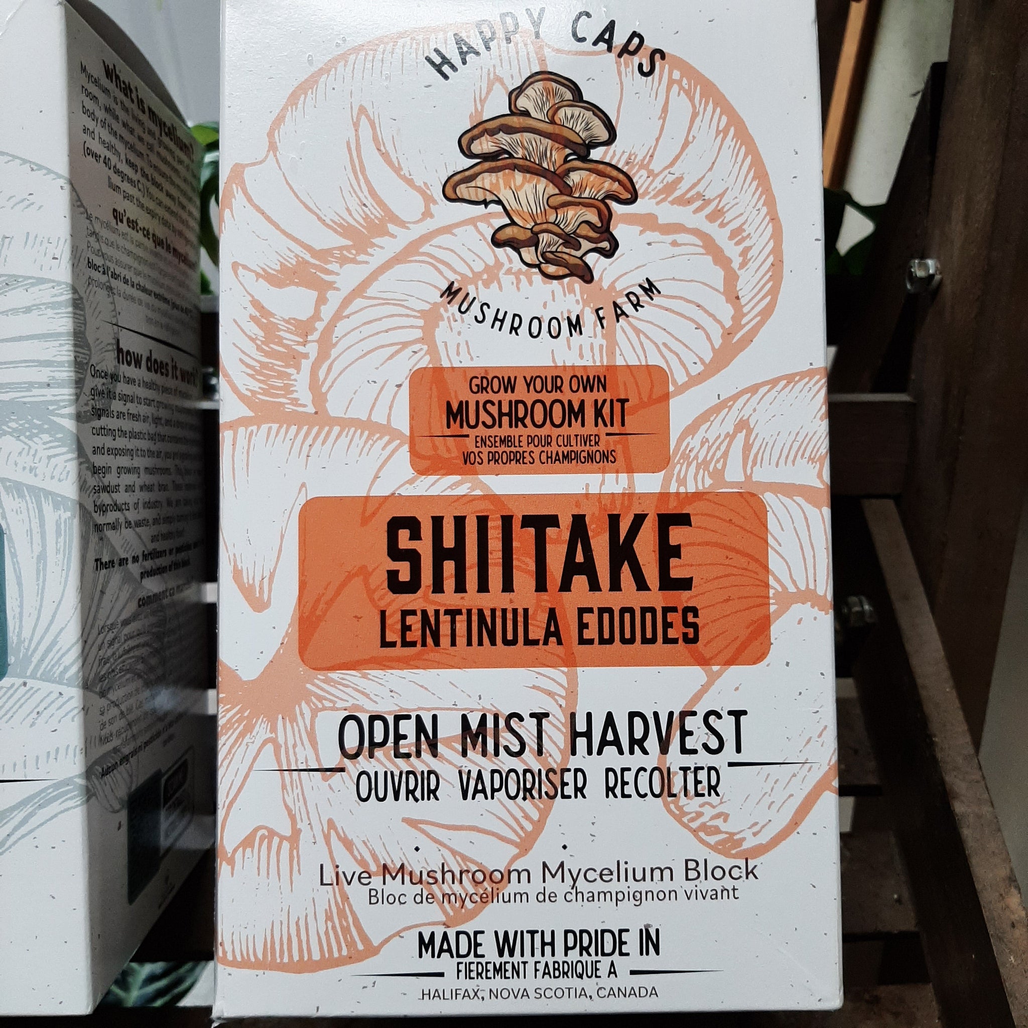 Mushroom Kit 'Shiitake'
