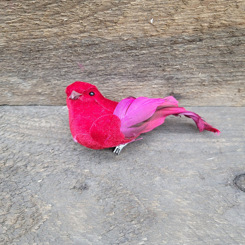 5.5" 'Red Bird' Clip