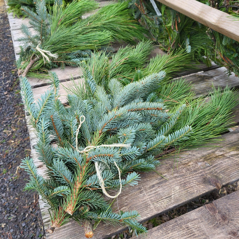 Evergreen Bough Bundle
