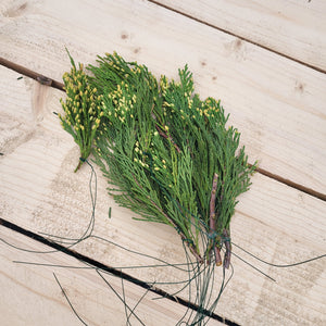 Incense Cedar 3/bundle WORKSHOPS