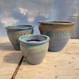 Stella Sky Ceramic Planters - Peacock Pot