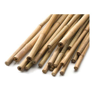 Natural Bamboo Cane 4' (25/Pk)