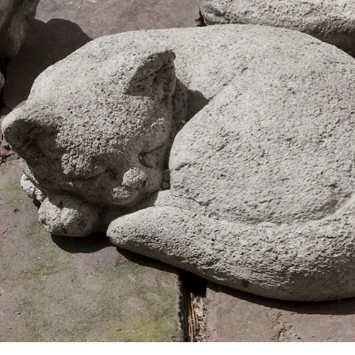 Curled Cat - Small