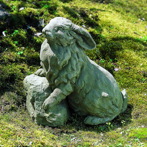 Rabbit on a Rock