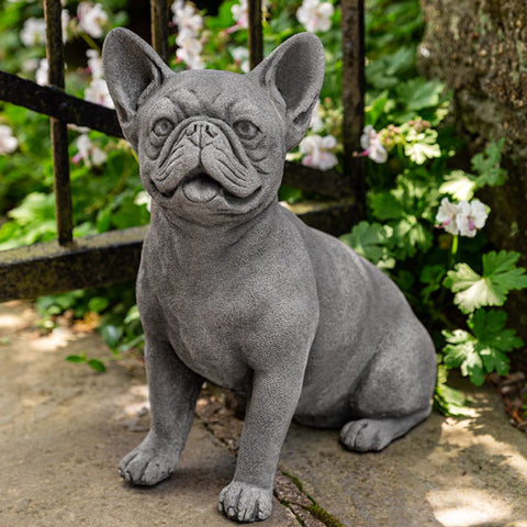 Frenchie