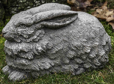 Flemish Hare