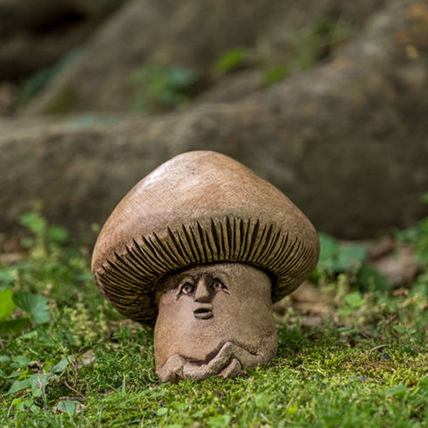 Shroom