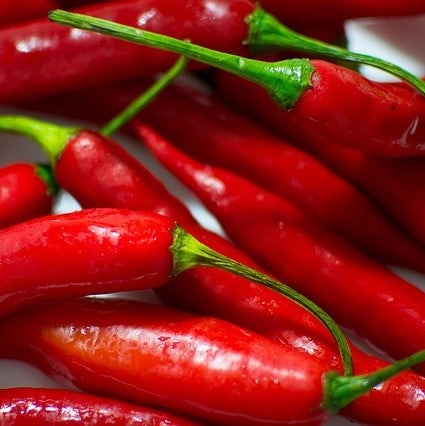Hot Pepper 'Long Red Cayenne'
